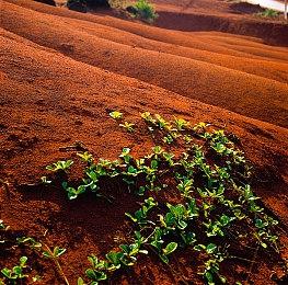 游戏内容不会有变化 《深海迷航2》开发商回应领导层变动争议